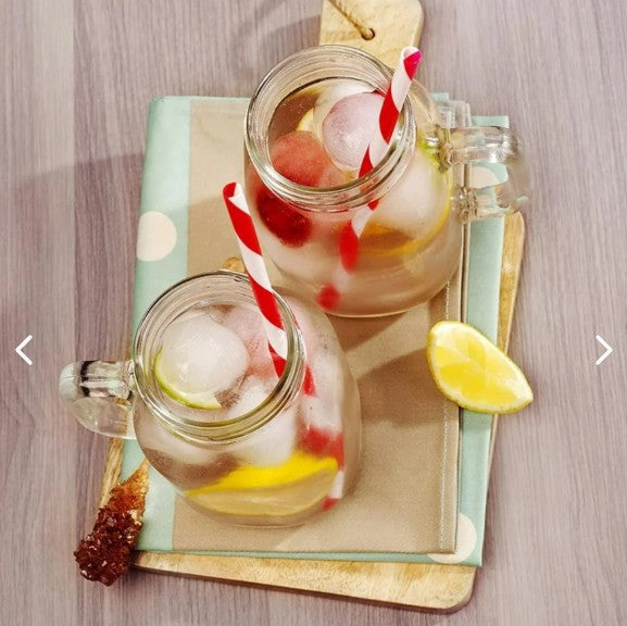 Molde Para Hielo Redondo de Whisky